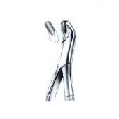 Extracting Forceps American Pattern